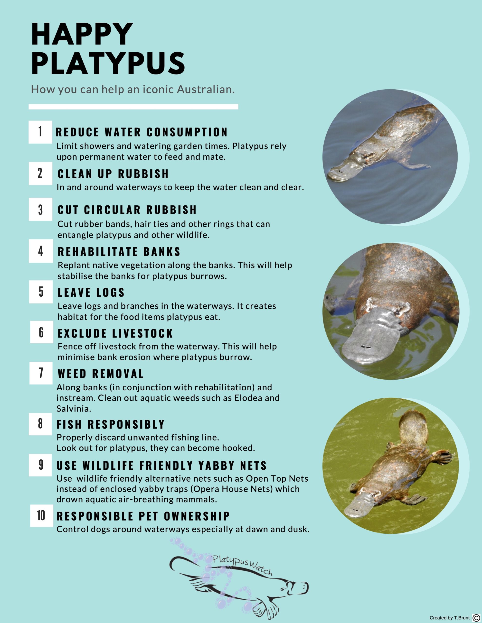 Happy-Platypus-flyer-10-steps